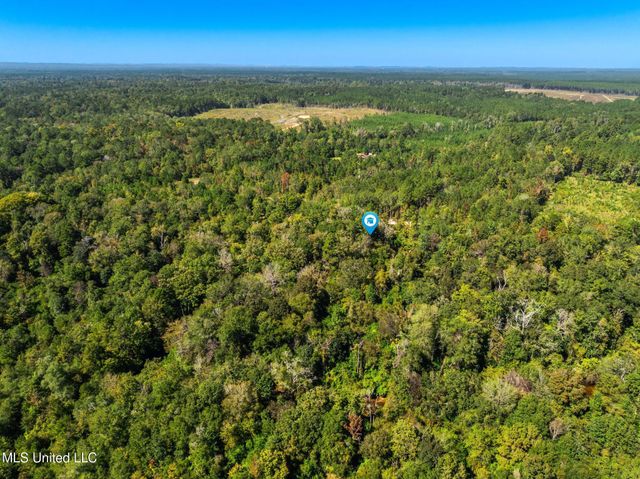 274 Game Reserve Road, Columbia, MS 39429