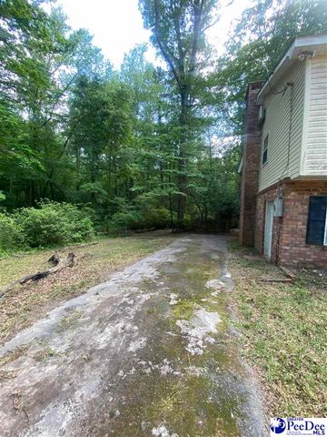 112 Williamson Pl, Darlington, SC 29532