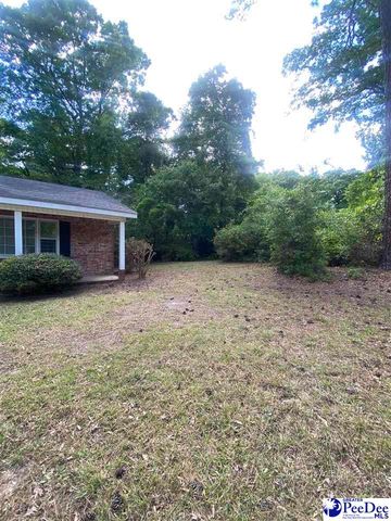 112 Williamson Pl, Darlington, SC 29532