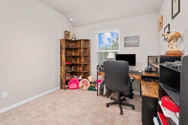 1325 Mount Bassie Trail, Conroe, TX 77301