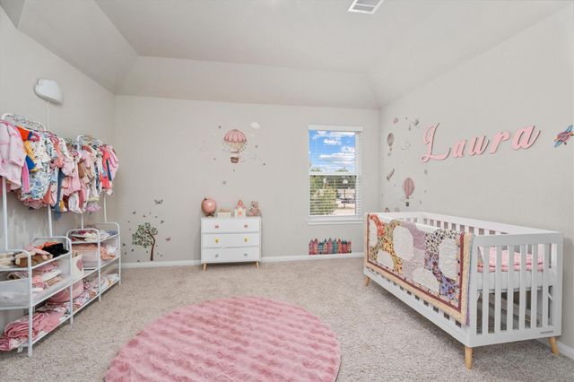 1325 Mount Bassie Trail, Conroe, TX 77301