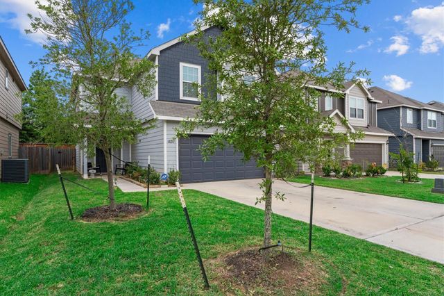 1325 Mount Bassie Trail, Conroe, TX 77301