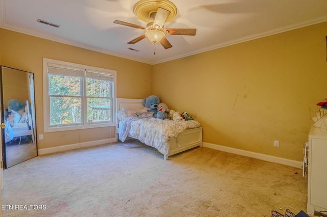 117 Cooper Rd, Tallassee, TN 37878