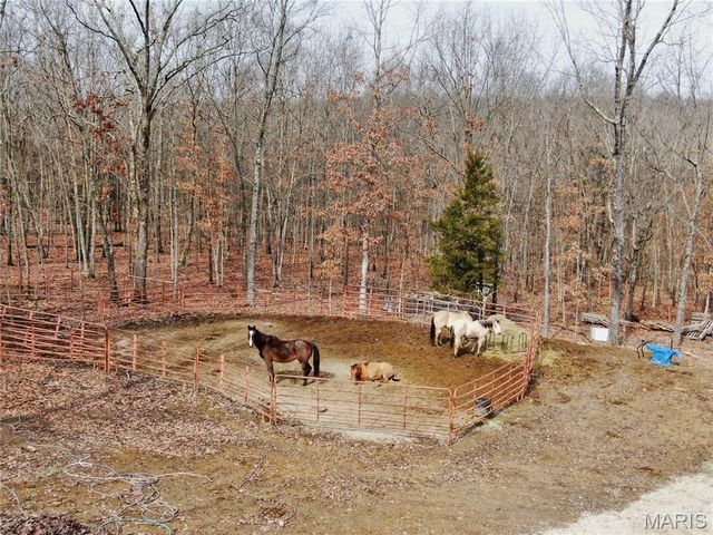 21503 Highway 28 W, Dixon, MO 65459