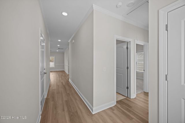 2404 Great Laurel Court, Greenville, NC 27834