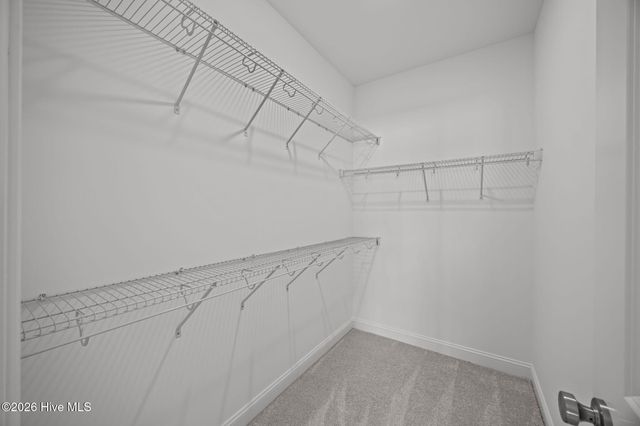 2404 Great Laurel Court, Greenville, NC 27834