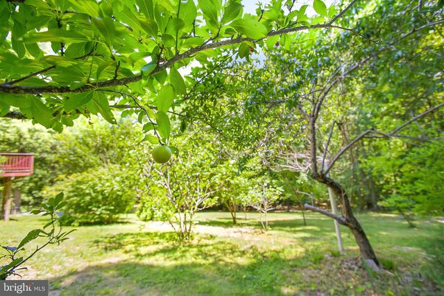 199 SETTLERS LN, Montross, VA 22520