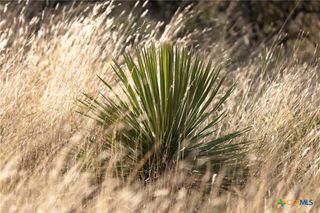 TBD W Rr 962, Round Mountain, TX 78663