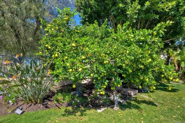 574 Golf Glen, San Marcos, CA 92069