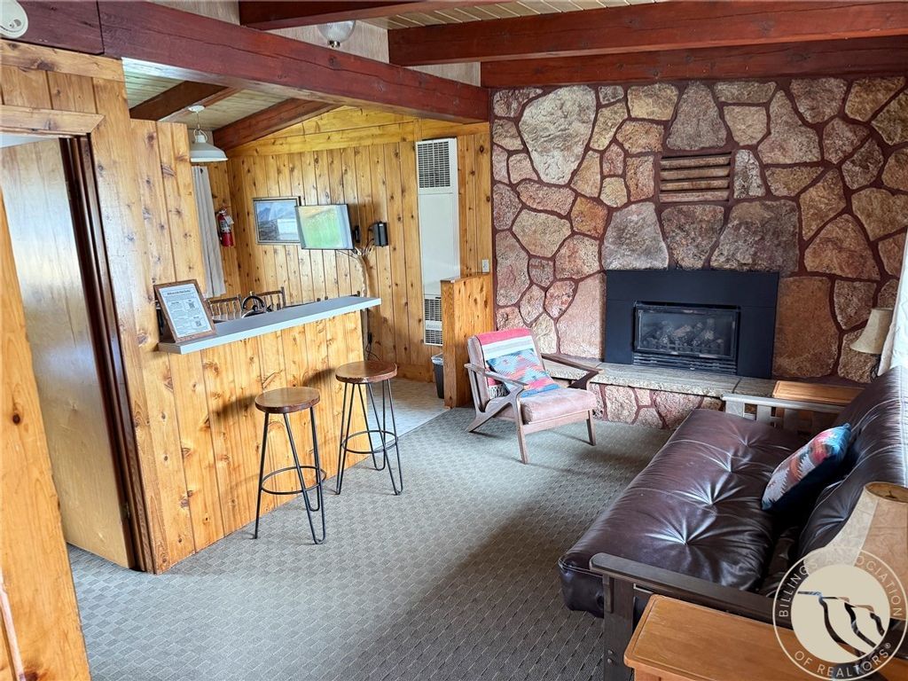 113 Main Street W, Cooke City, MT 59020 photo 16