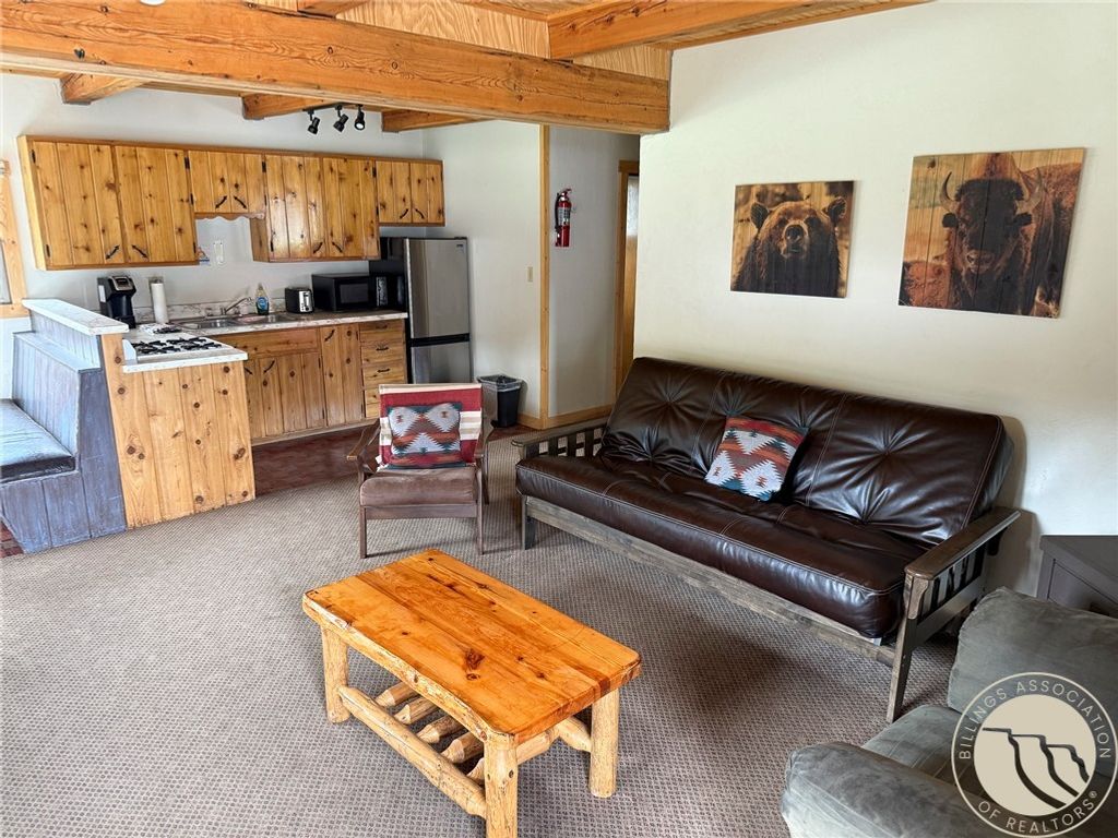 113 Main Street W, Cooke City, MT 59020 photo 20