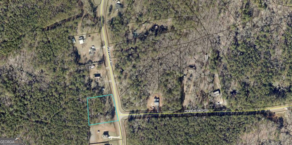 0 Peevsille Rd Road, Locust Grove, GA 30248