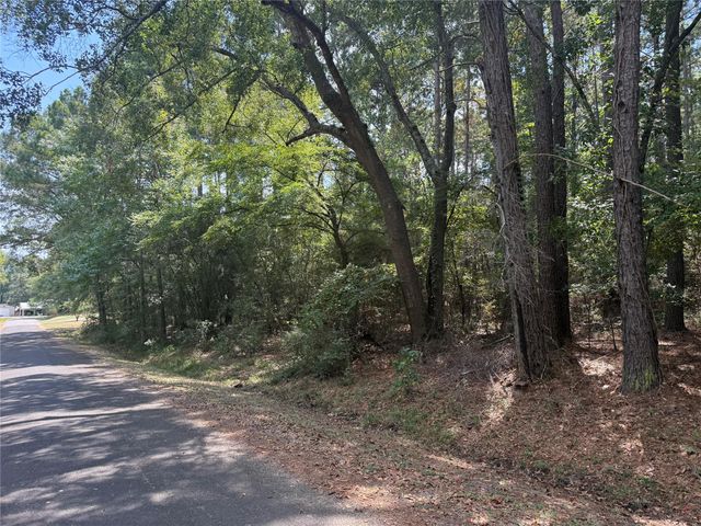 TBD Mockingbird Hills, Livingston, TX 77351