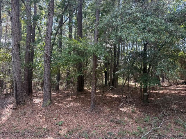TBD Mockingbird Hills, Livingston, TX 77351
