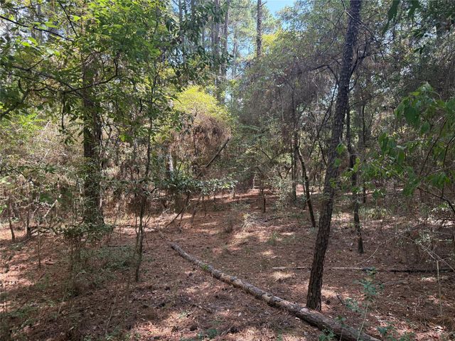 TBD Mockingbird Hills, Livingston, TX 77351
