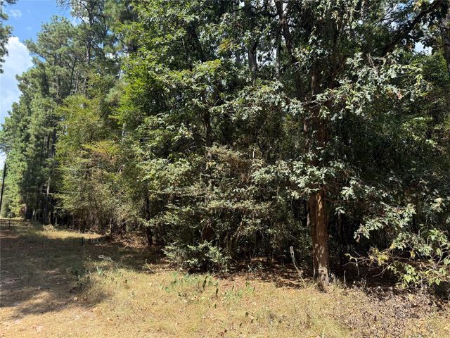 TBD Mockingbird Hills, Livingston, TX 77351