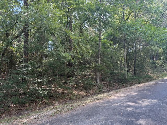 TBD Mockingbird Hills, Livingston, TX 77351