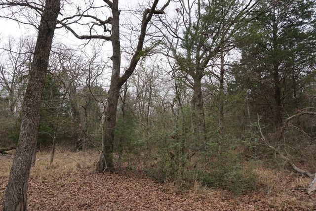10530 Private Road 5207, Malakoff, TX 75148