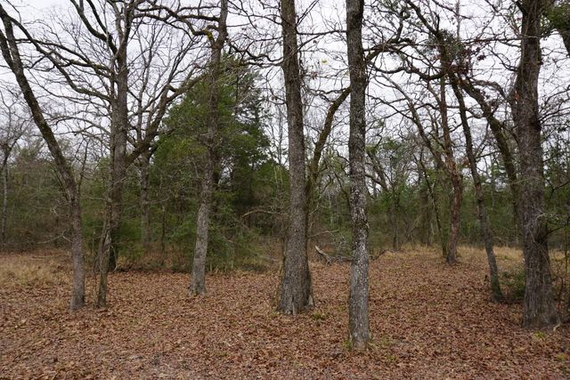 10530 Private Road 5207, Malakoff, TX 75148