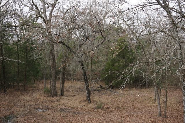 10530 Private Road 5207, Malakoff, TX 75148