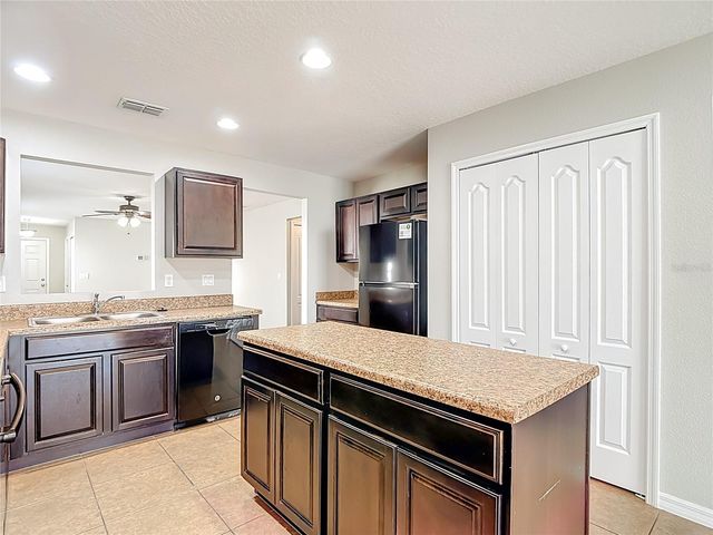 13221 WATERFORD CASTLE DRIVE, Dade City, FL 33525