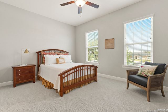 1228 PALADIN TRL, Spring Branch, TX 78070