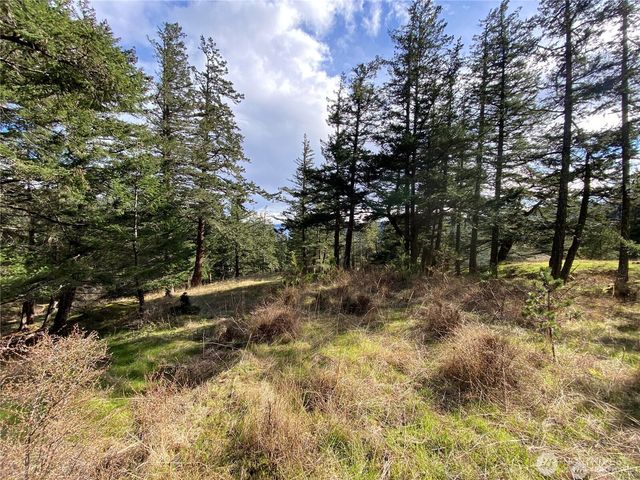 9 Tomihi Drive, Orcas Island, WA 98245