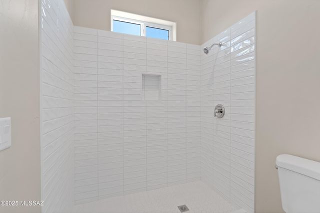 67620 E Lauren Place, Oracle, AZ 85623