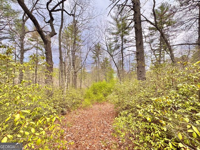 0 Long Mountain Drive LOT 1 & 3, Lakemont, GA 30552