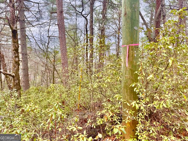 0 Long Mountain Drive LOT 1 & 3, Lakemont, GA 30552