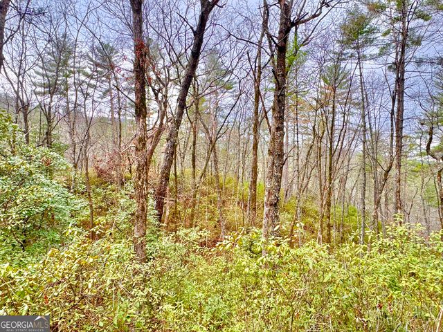 0 Long Mountain Drive LOT 1 & 3, Lakemont, GA 30552