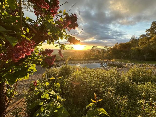 43016 Sunshine Mountain, Oakhurst, CA 93644