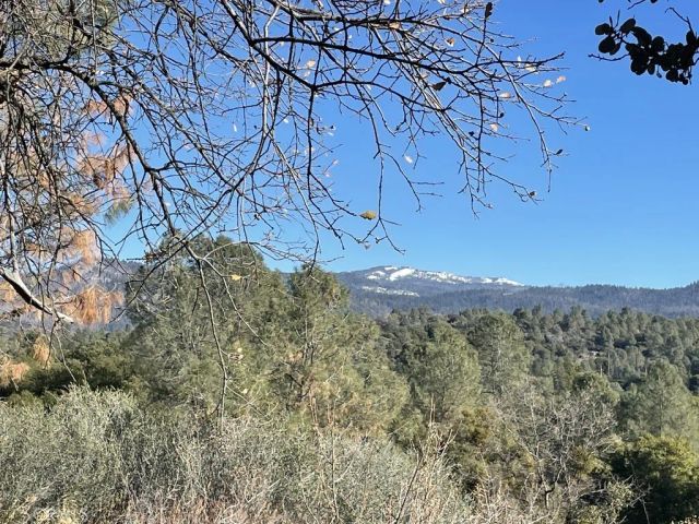 43016 Sunshine Mountain, Oakhurst, CA 93644