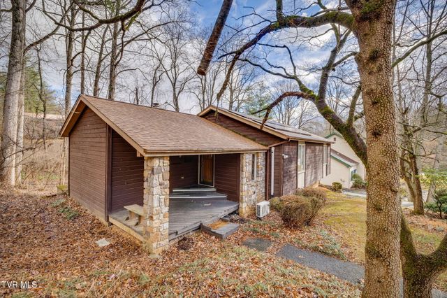 13 North Foxxborough Lane, Johnson City, TN 37604