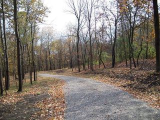 Lot #6 Thirty Foot Trail Road, Oglesby, IL 61348