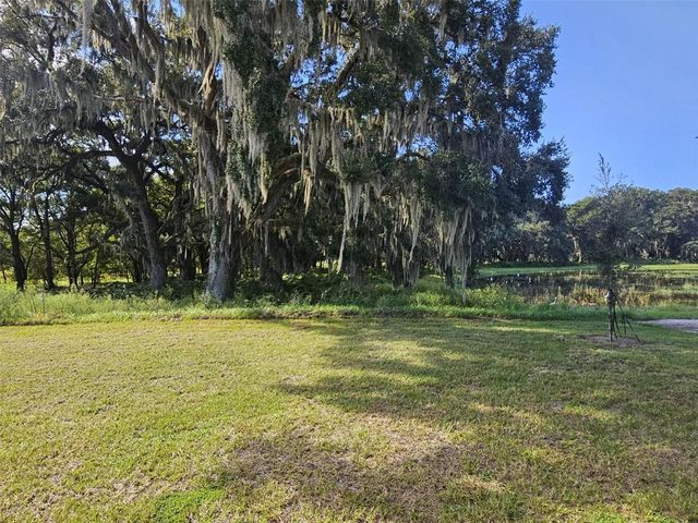 8705 BARRAGAN DRIVE, Wildwood, FL 34785