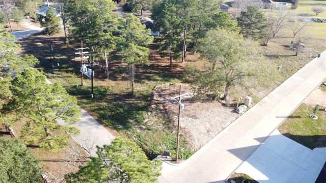 16716 Falcon Point Drive, Montgomery, TX 77356