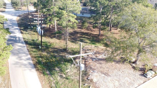 16716 Falcon Point Drive, Montgomery, TX 77356