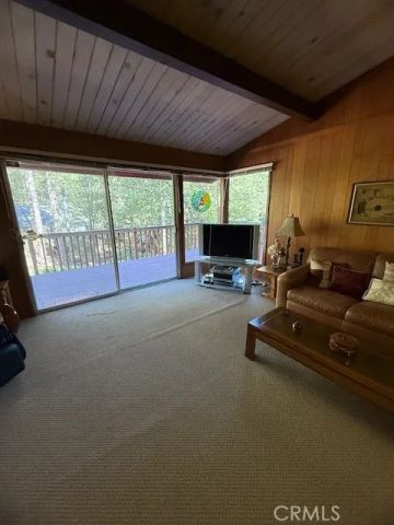 16339 Big Fir Lane, Cobb, CA 95426