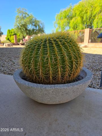 15842 N 76th Lane, Peoria, AZ 85382