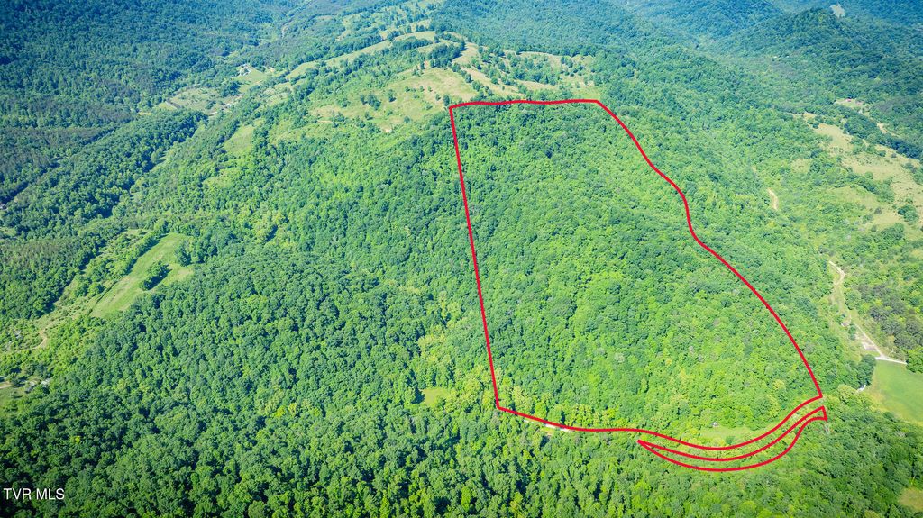 Tbd Eb Hollow Road, Eidson, TN 37731