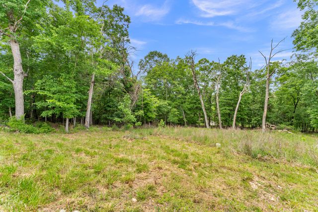 209 Blunk Terrace, Forsyth, MO 65653