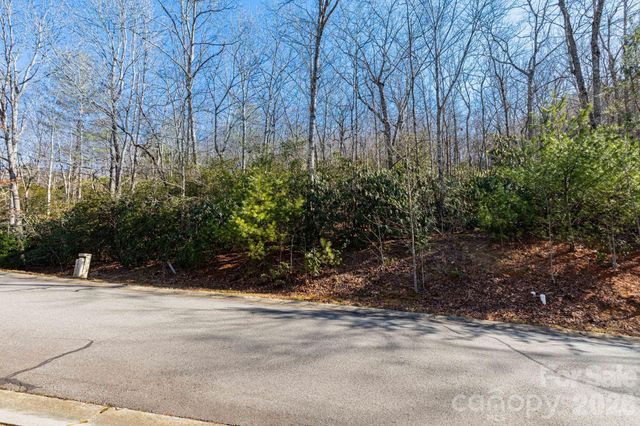 204 Settings Boulevard 247, Black Mountain, NC 28711