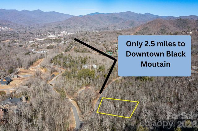 204 Settings Boulevard 247, Black Mountain, NC 28711