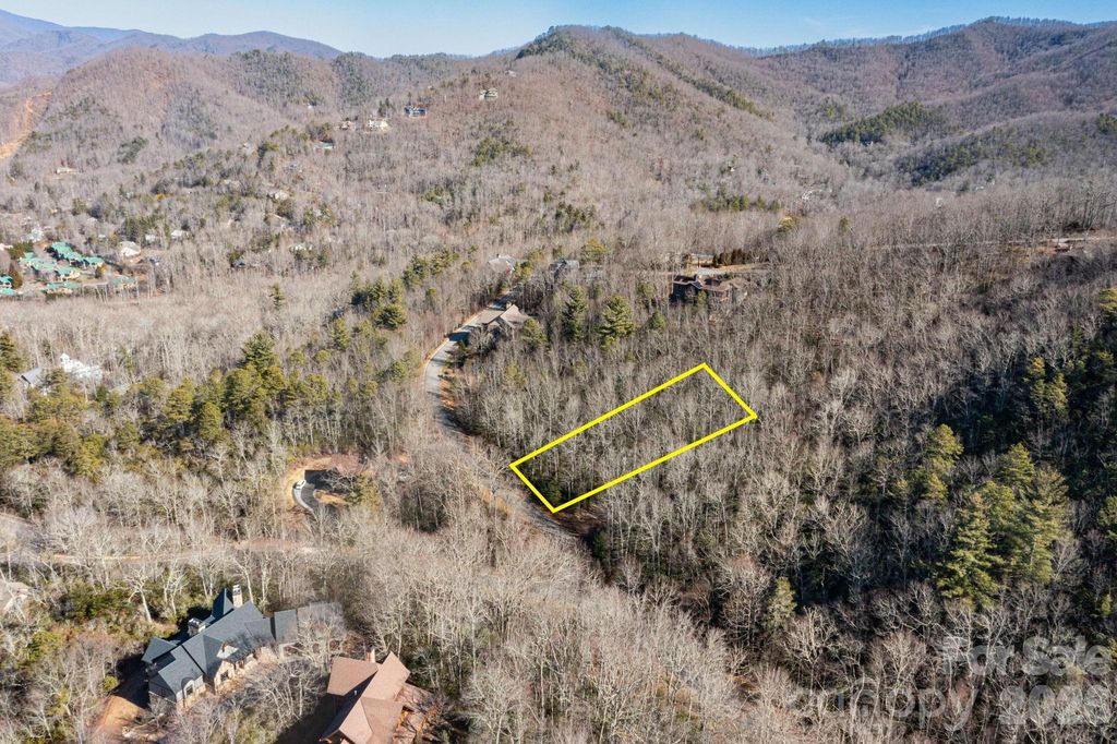 204 Settings Boulevard 247, Black Mountain, NC 28711