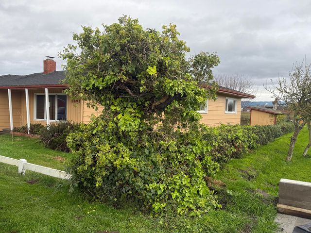 1501 Ambrosini Lane, Ferndale, CA 95536