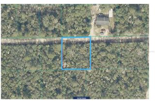 Lot 19 NE 233RD LANE, Fort Mc Coy, FL 32134