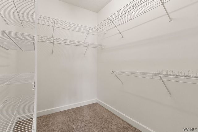 11530 ASHLEY, Northport, AL 35475