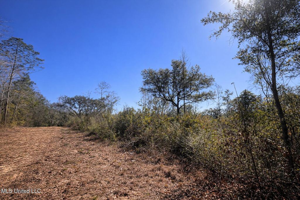 2 Standard Cemetery Road, Kiln, MS 39556