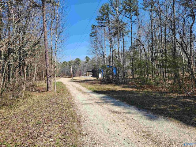 11008 County Road 121, Valley Head, AL 35989